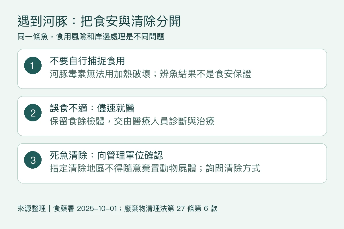 河豚處理圖解：不要自行食用，誤食不適就醫並保留檢體，死魚清除詢問管理單位